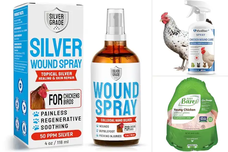 Detailed view of Best Antibiotic-Free Poultry: Pure Flavor, Natural Quality