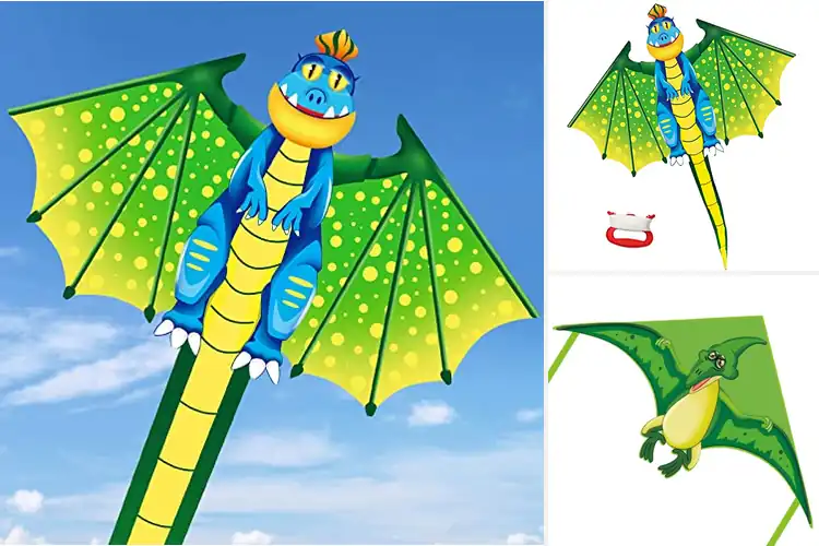 Detailed view of Best Kids Flying Dinosaur Age Eight To Twelve