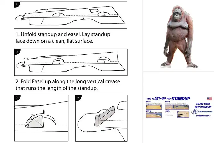 Detailed view of Best Life Size Cardboard Cutouts For Fans