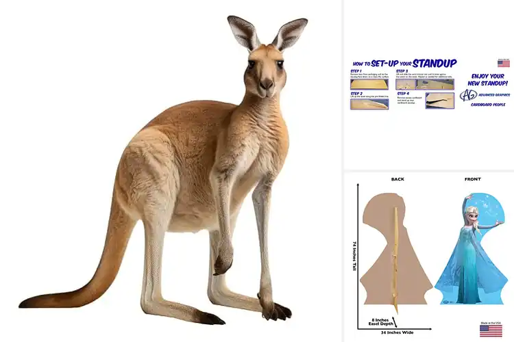 Detailed view of Best Reusable Cardboard Standee