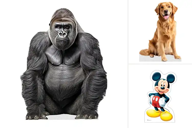 Detailed view of Best Reusable Cardboard Standups: Fun, Sturdy, & Party-Ready