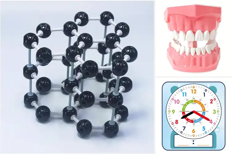 Detailed view of Best Teaching Demonstration Tools